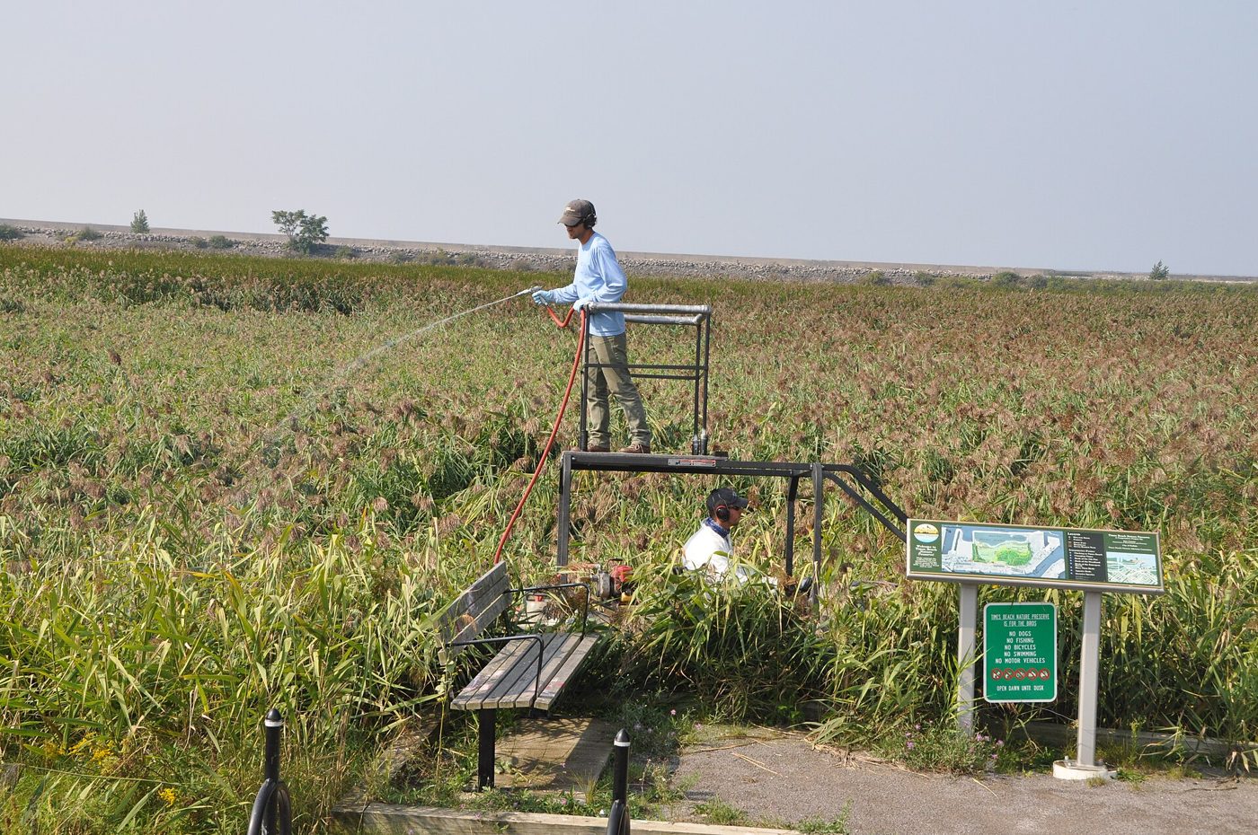 A wide flat field of tall grass under a hazy sky, with a wooden viewing platform, a bench, and a small green sign in the foreground